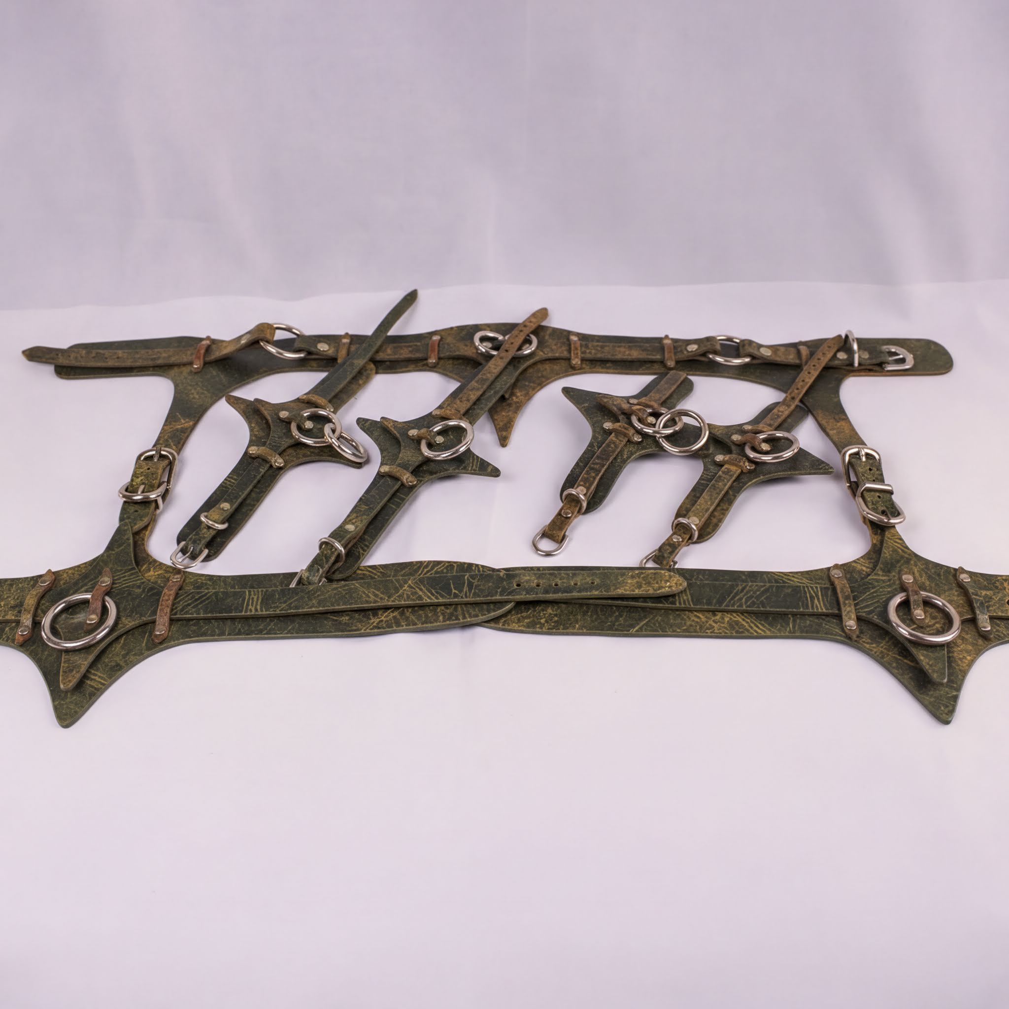 A collection of leather straps and buckles arranged on a white background.