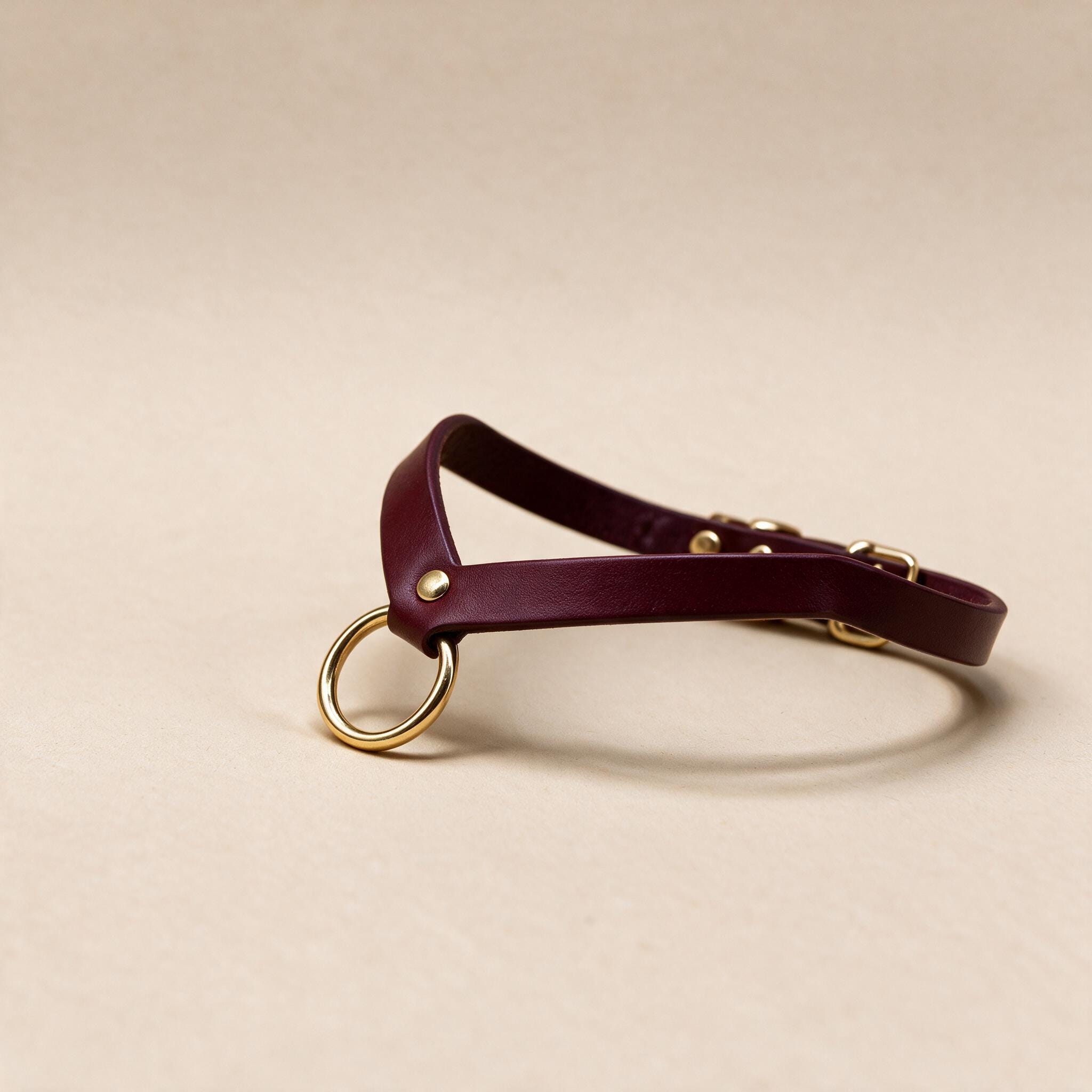 A burgundy leather collar with a gold-colored ring and buckle is displayed on a beige background.