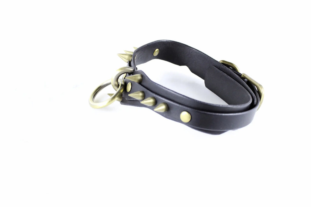 A black leather collar with spikes protruding from it, and a metal ring attached to the top.