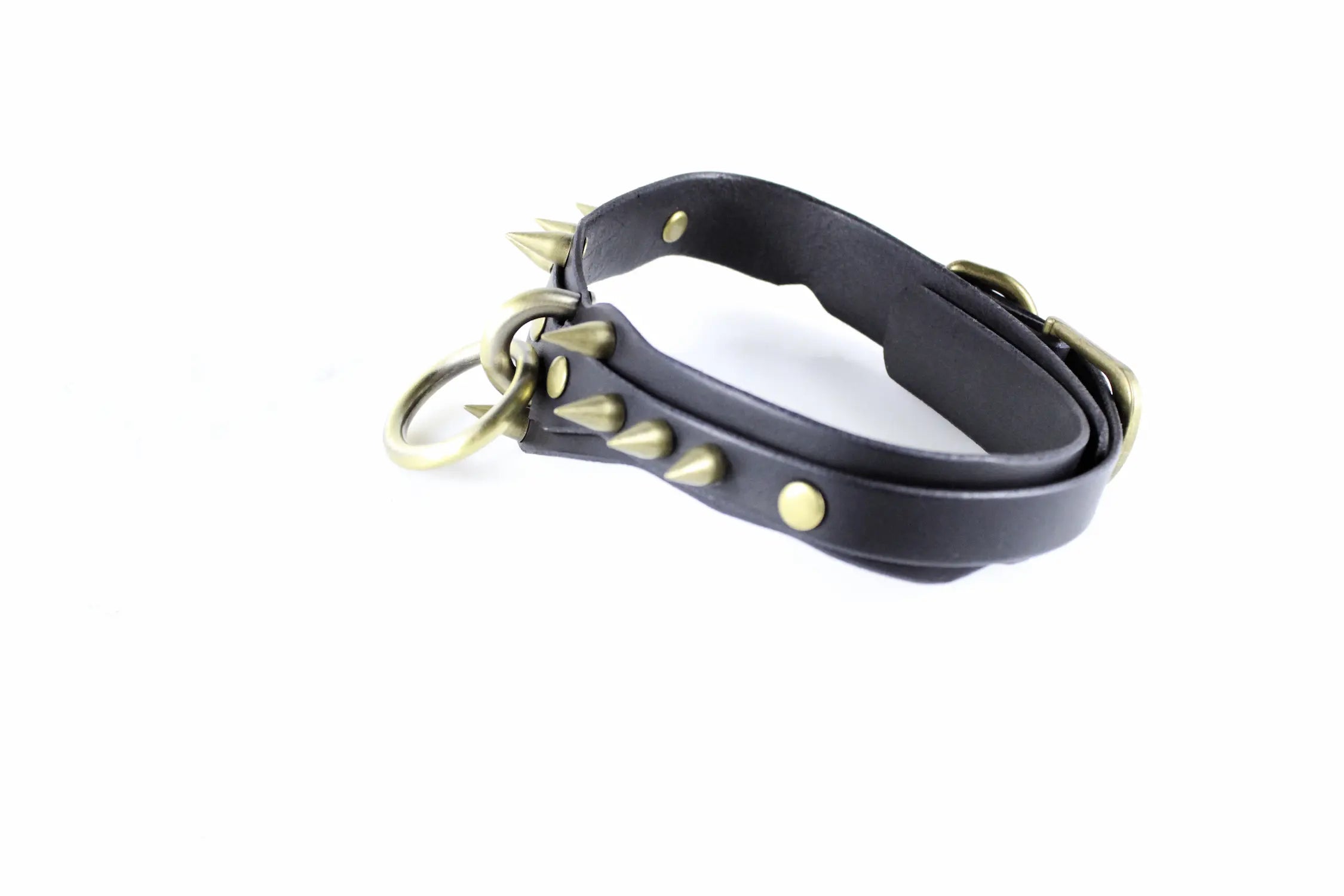 A black leather collar with spikes protruding from it, and a metal ring attached to the top.