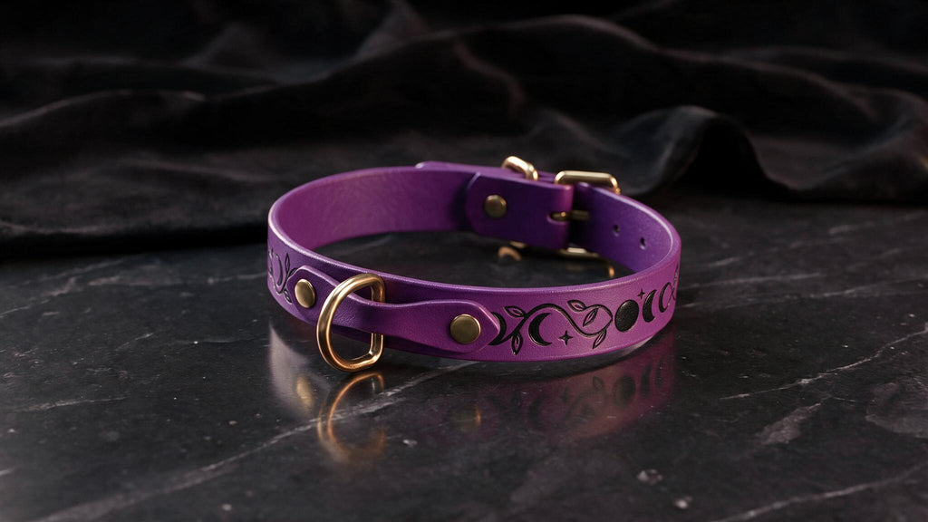 A purple leather collar with a metallic buckle and a design featuring celestial elements, such as stars and planets, is displayed on a dark surface.