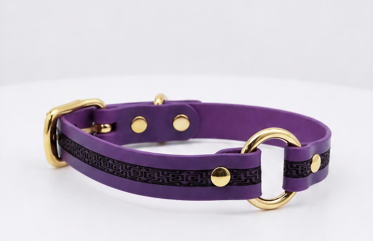 A purple dog collar with gold hardware, including a buckle and two rings, is shown against a white background.