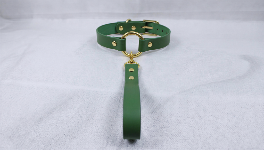 A green leather collar with a gold-colored buckle and a matching green leash attached to it.