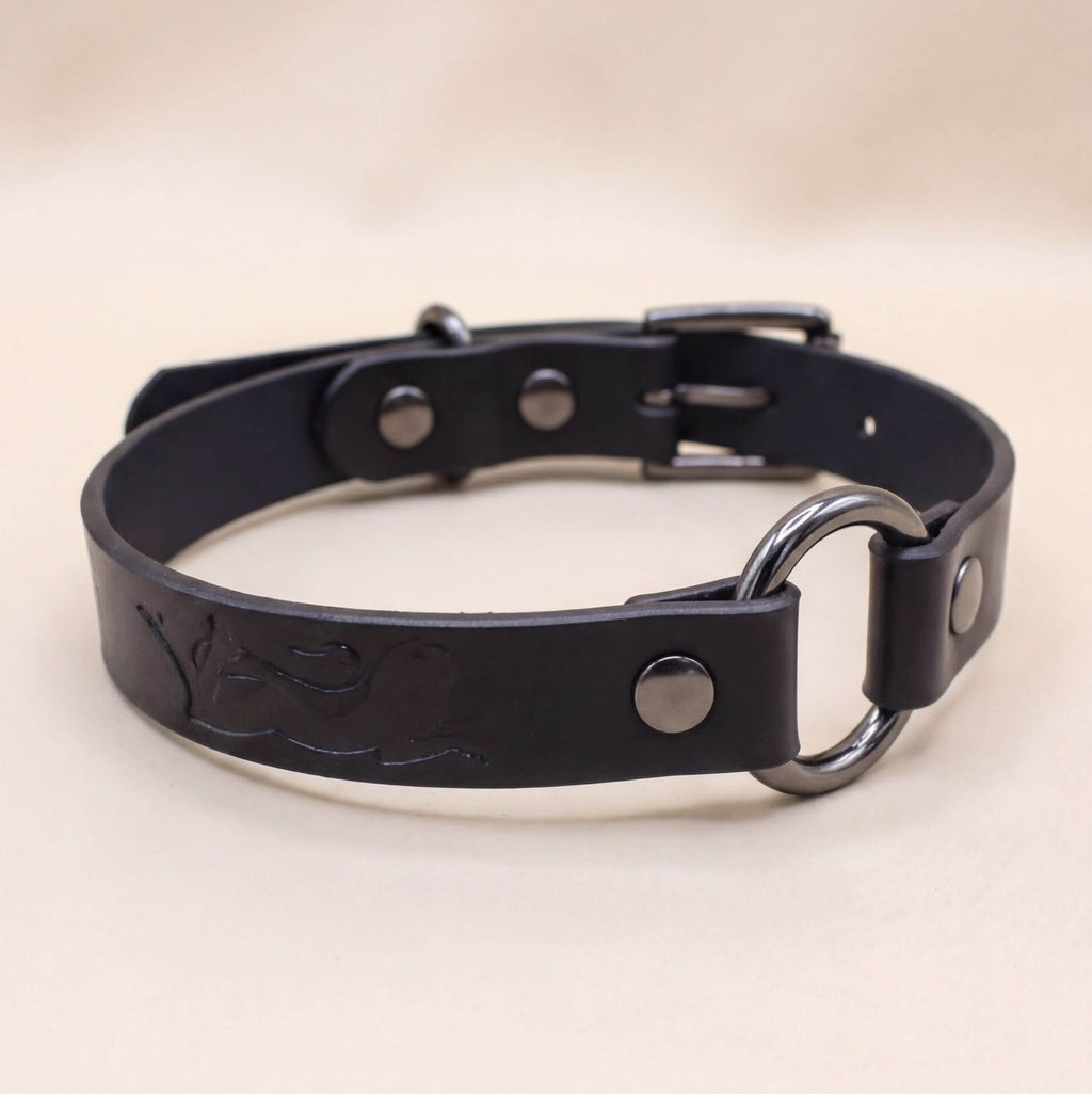 A black leather collar with a metal buckle and ring.