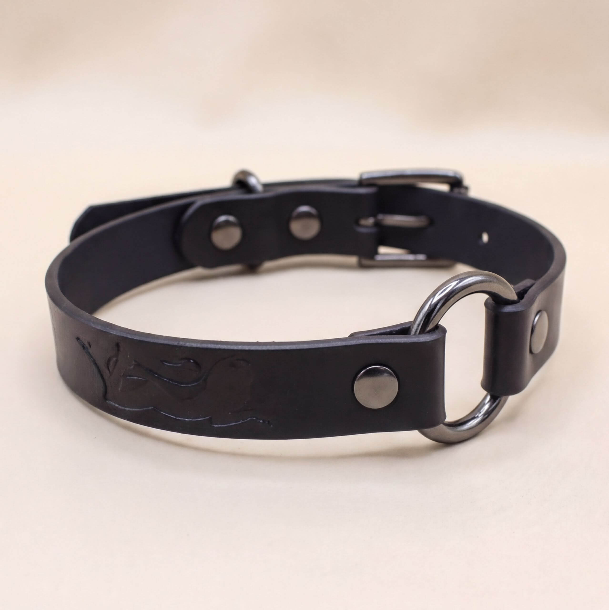A black leather collar with a metal buckle and ring.