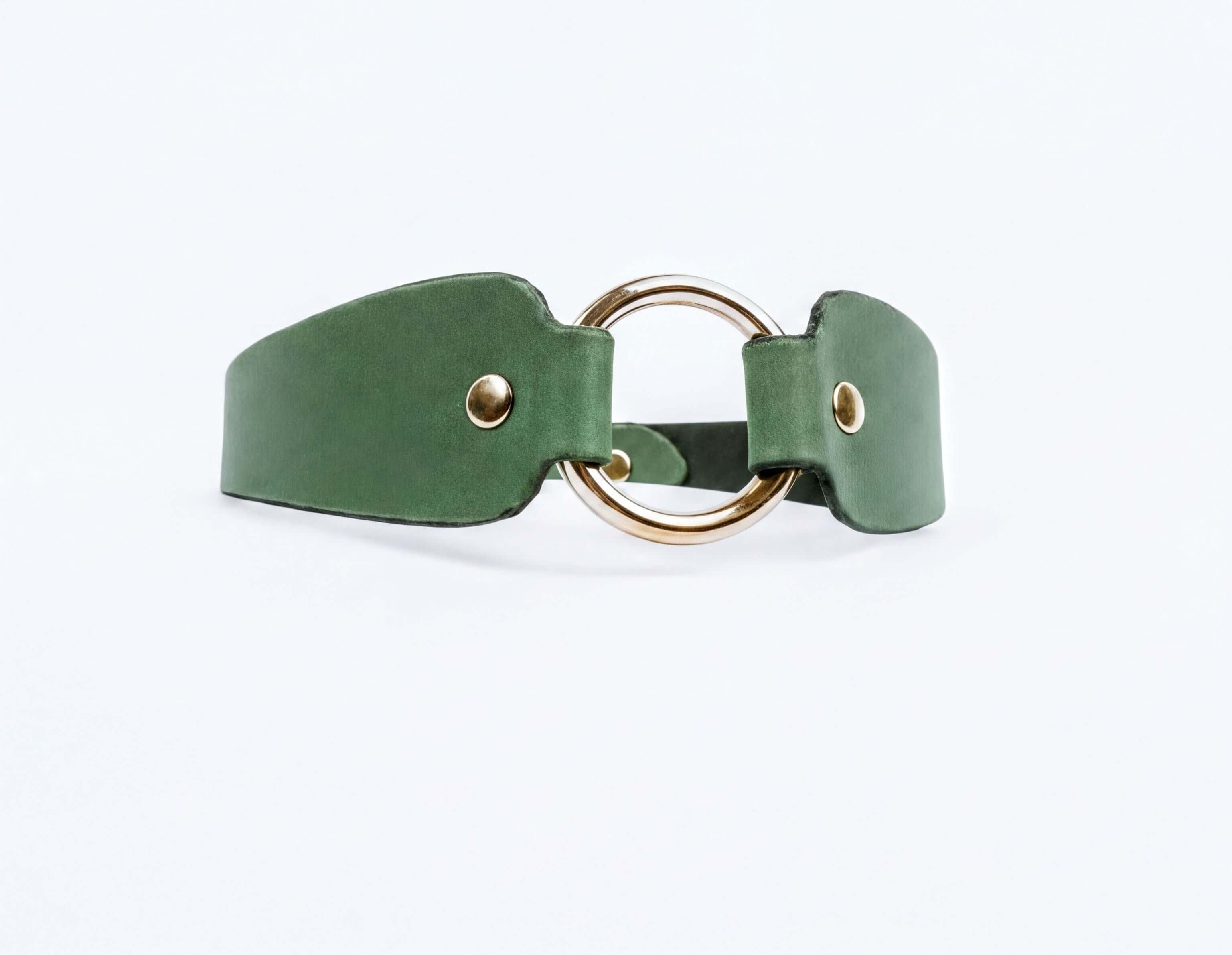 A green leather choker necklace with a gold-colored circular buckle.
