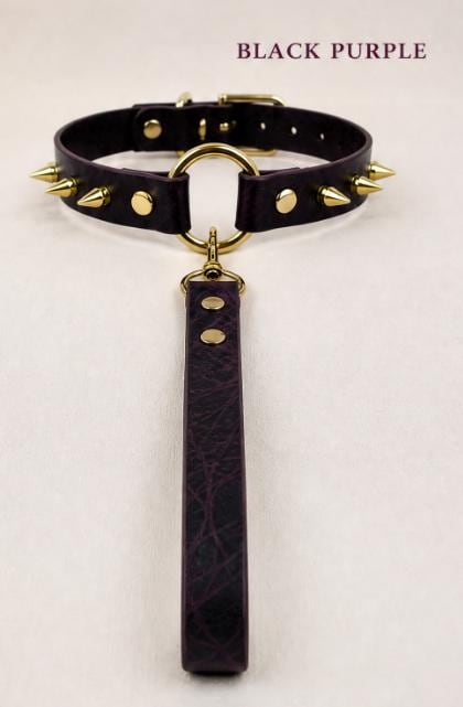 A black leather choker collar with gold studs and a black leather leash attached to it.