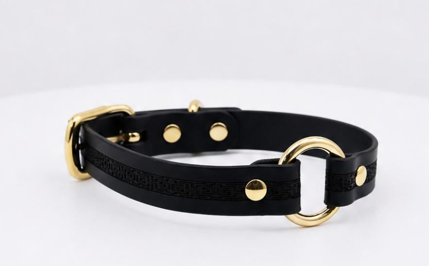 A black leather dog collar with gold hardware, including a buckle and two circular buckles, is shown against a white background.