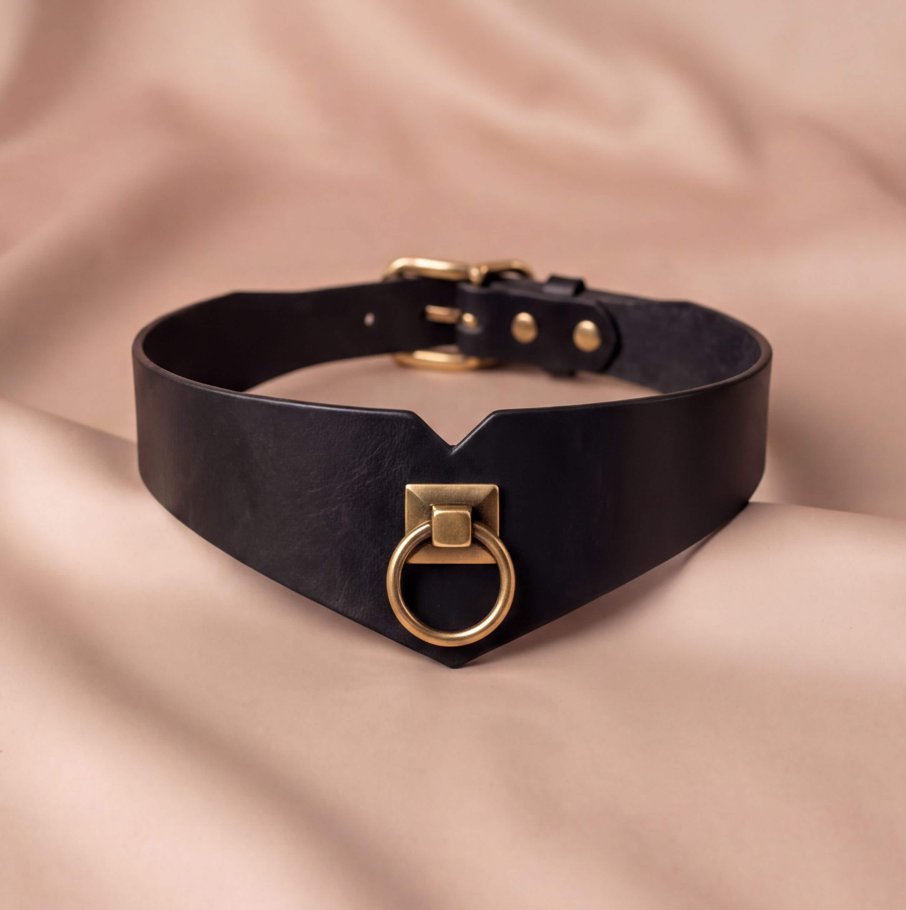 A black leather choker collar with a gold-colored metal ring and buckle.