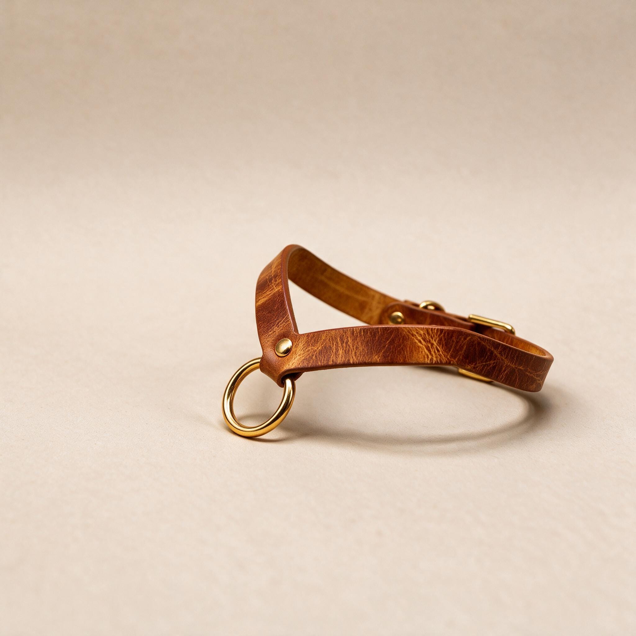 A brown leather collar with a gold ring and buckle is shown against a light beige background.