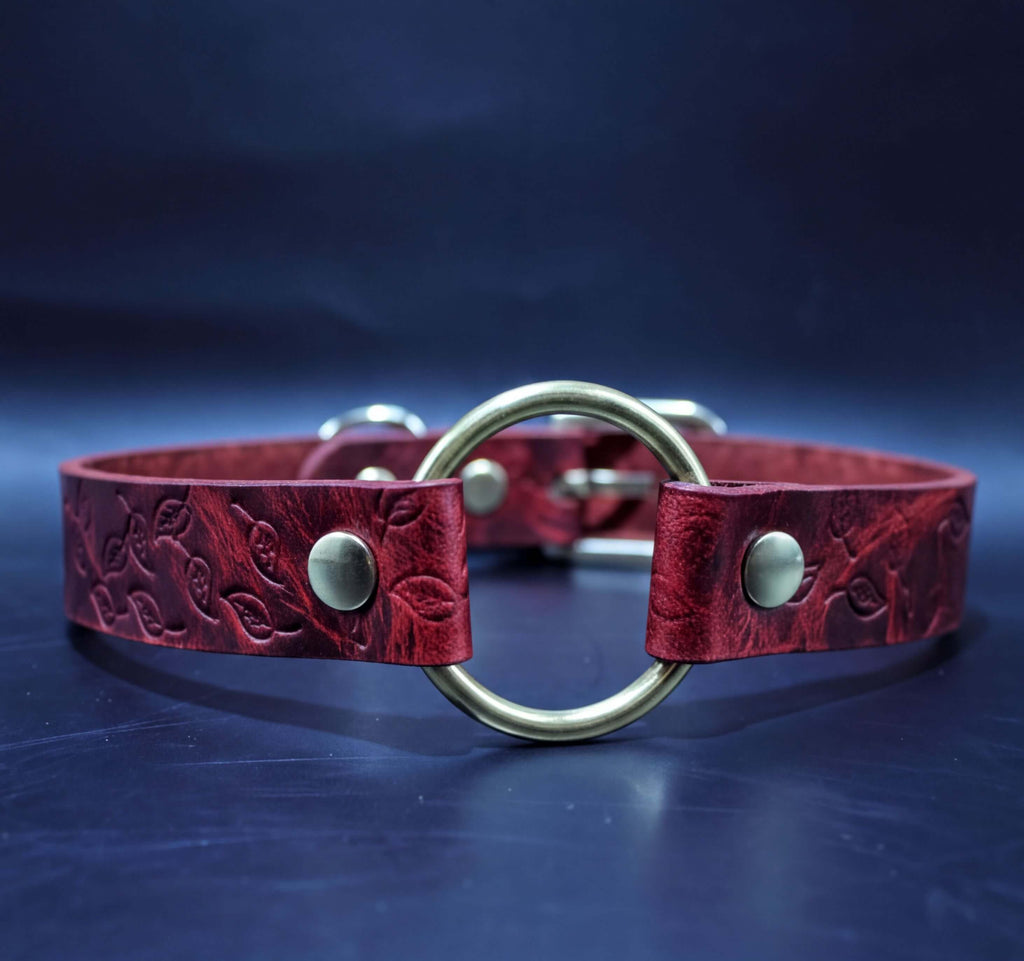 A red leather collar with a gold-colored circular buckle, displayed against a dark blue background.