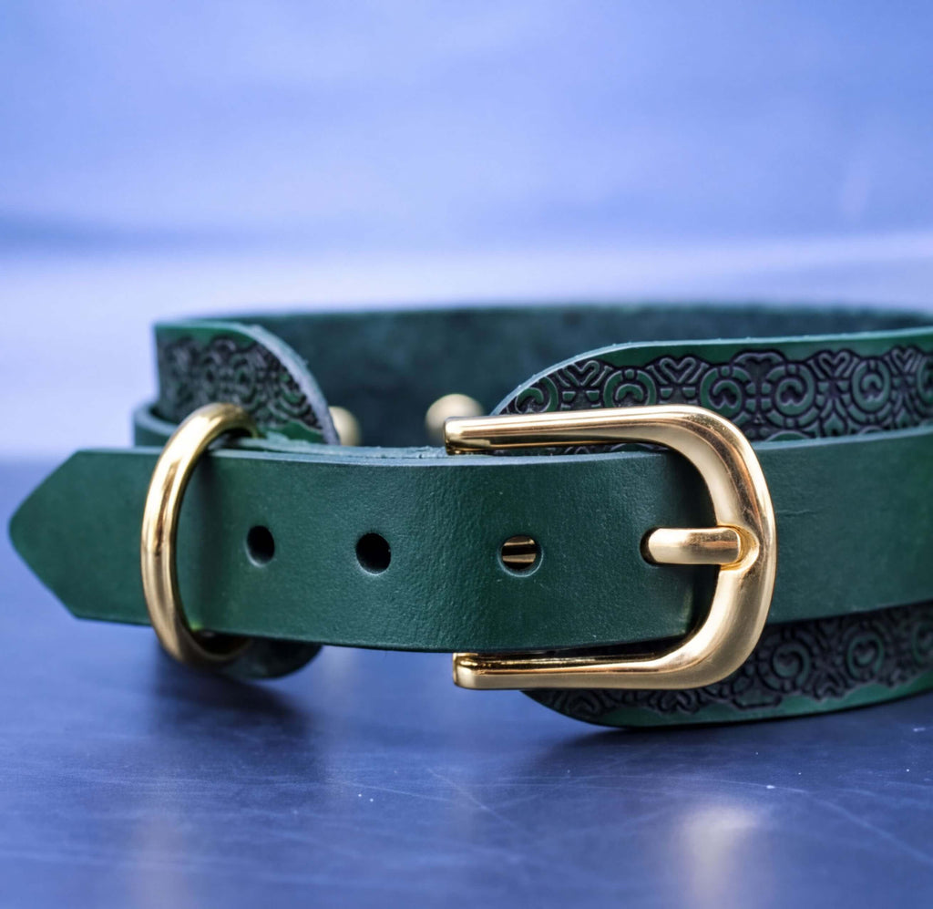A close-up view of a green leather collar with a gold buckle, set against a blue background.