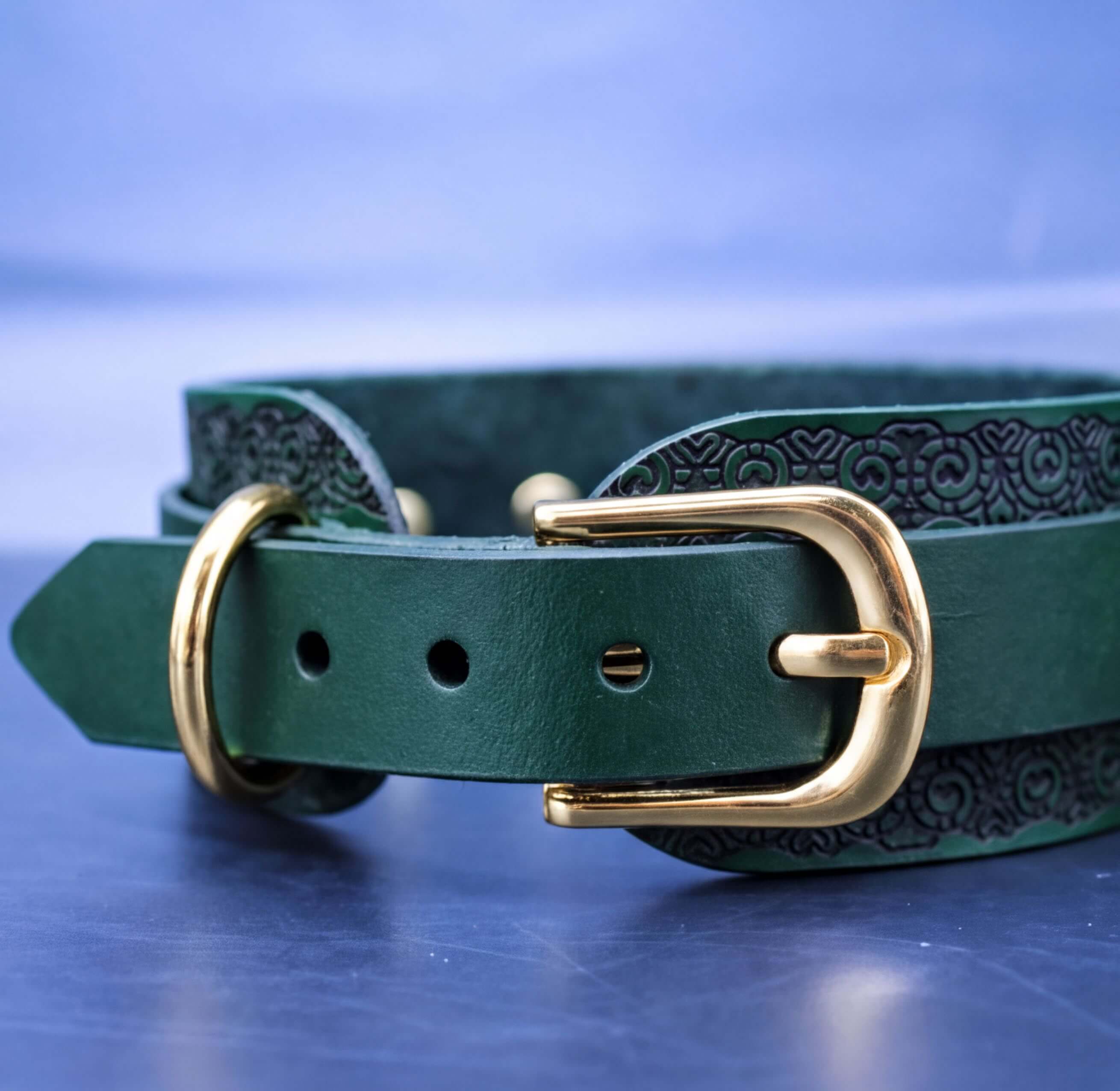 A close-up view of a green leather collar with a gold buckle, set against a blue background.