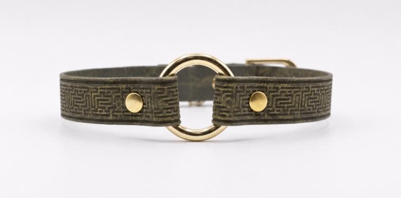 A dark green leather choker necklace with a gold-colored metal ring and two gold-colored metal fasteners.