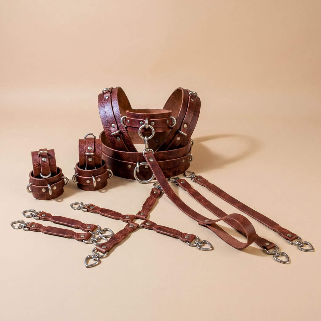 a collection of leather straps and buckles, including a harness and several individual straps, arranged on a beige background.