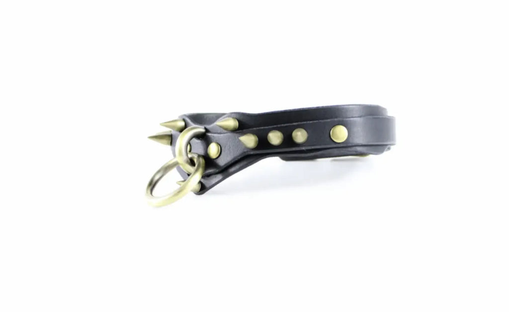 A black leather collar with metal studs and a metal ring is shown against a white background.