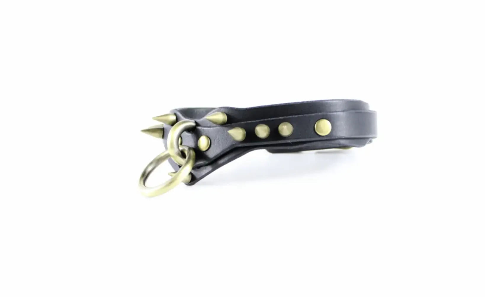 A black leather collar with metal studs and a metal ring is shown against a white background.