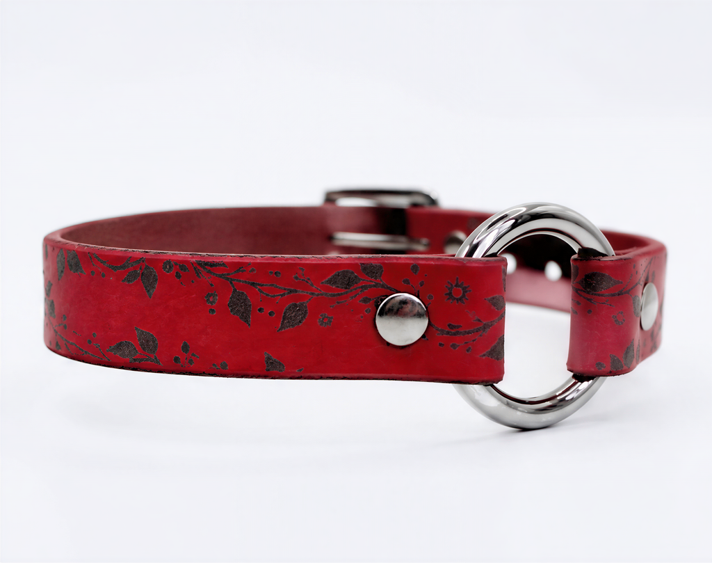 A red leather collar with a silver metal ring and leaf design.