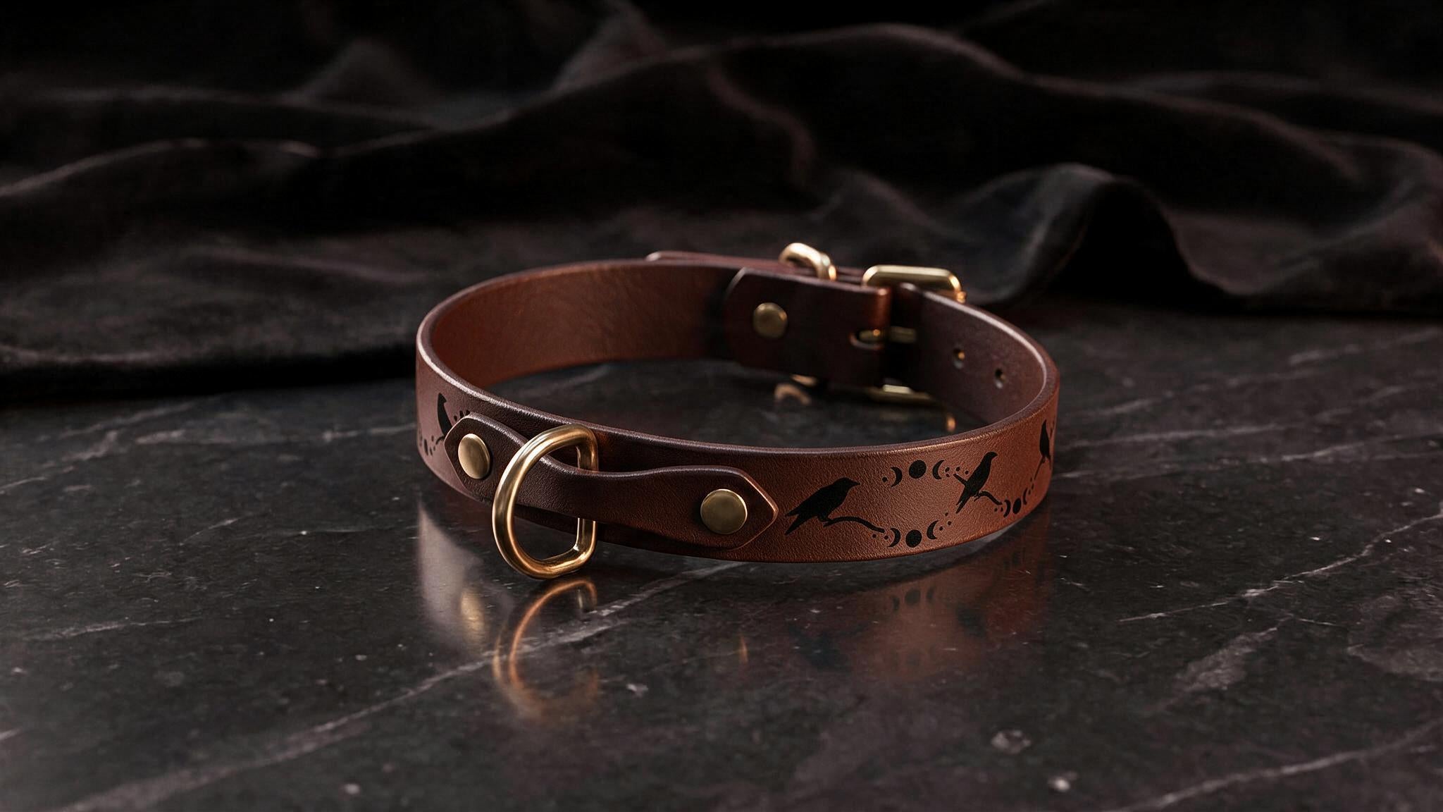 A brown leather collar with a metal buckle and a design featuring a bird and moon phases.
