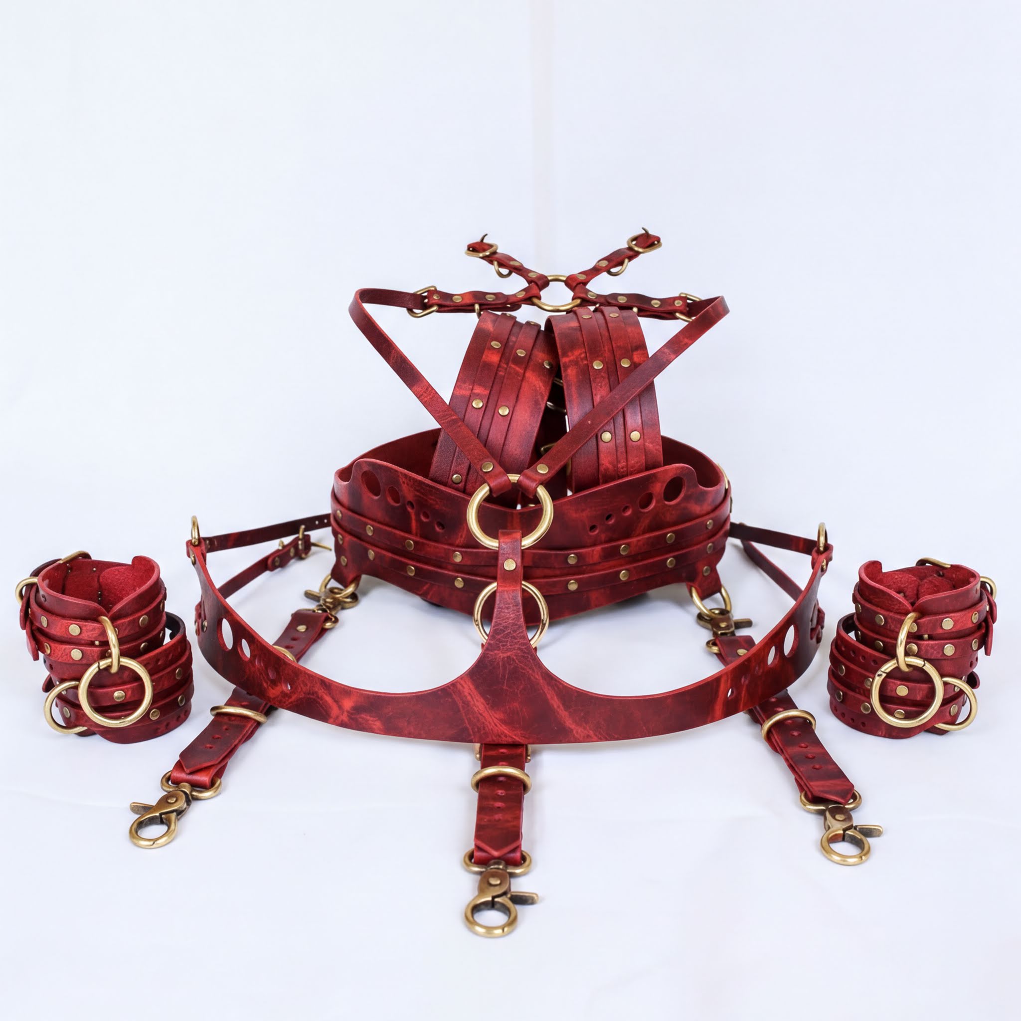 a collection of red leather straps and accessories, including a harness, gloves, and other items, arranged on a white background.