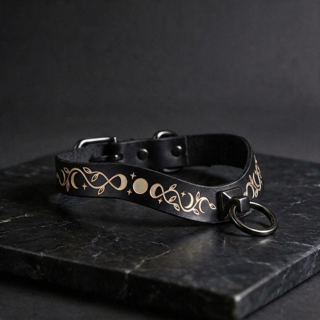 A black leather collar with a decorative metal ring and a leaf-like design on it, resting on a dark surface.