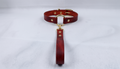 A red leather collar with a gold-colored buckle and a matching red leather leash attached to it.