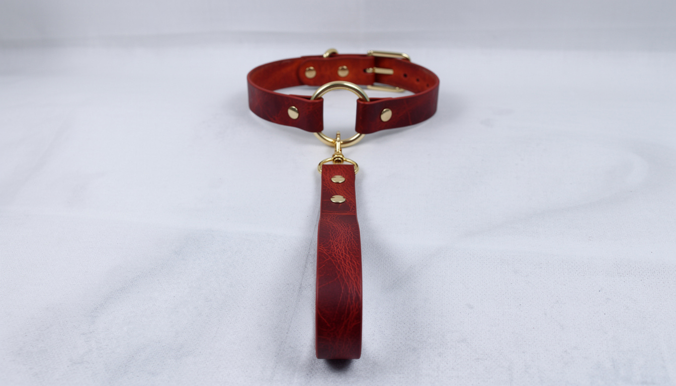 A red leather collar with a gold-colored buckle and a matching red leather leash attached to it.