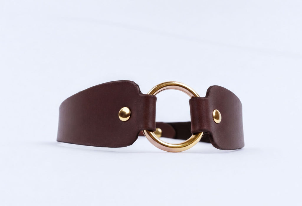 A brown leather choker necklace with a gold-colored circular buckle.