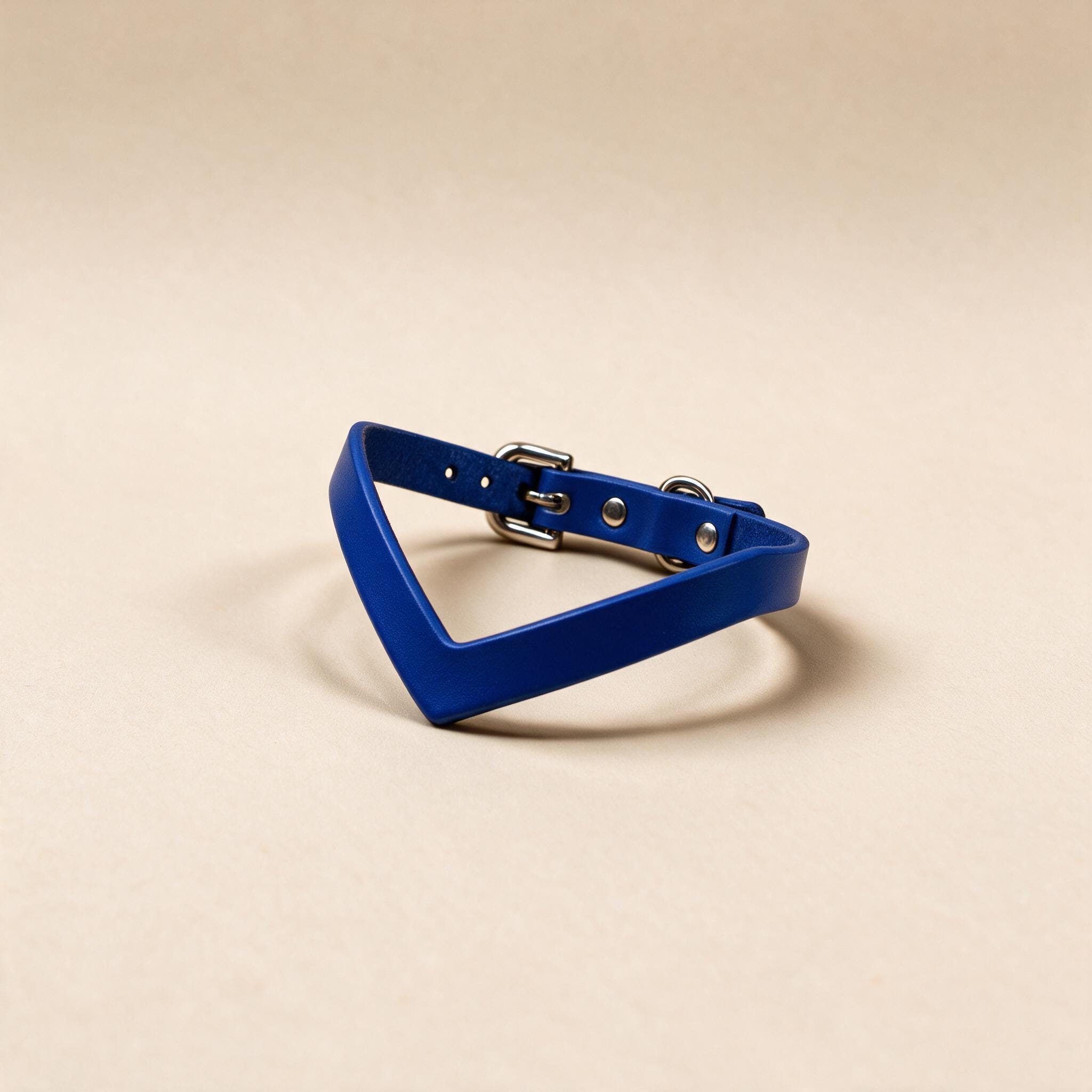 A blue collar with a metal buckle is shown against a light beige background.