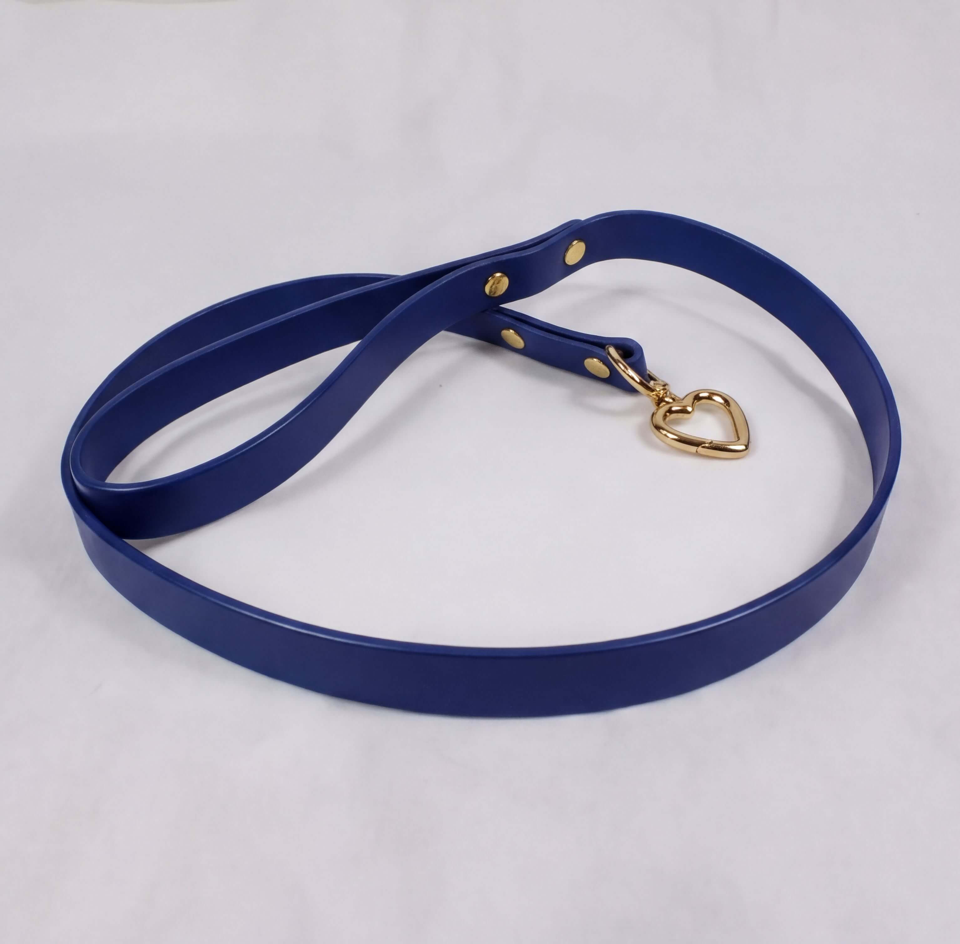 A blue leash with a gold heart-shaped charm attached to it.