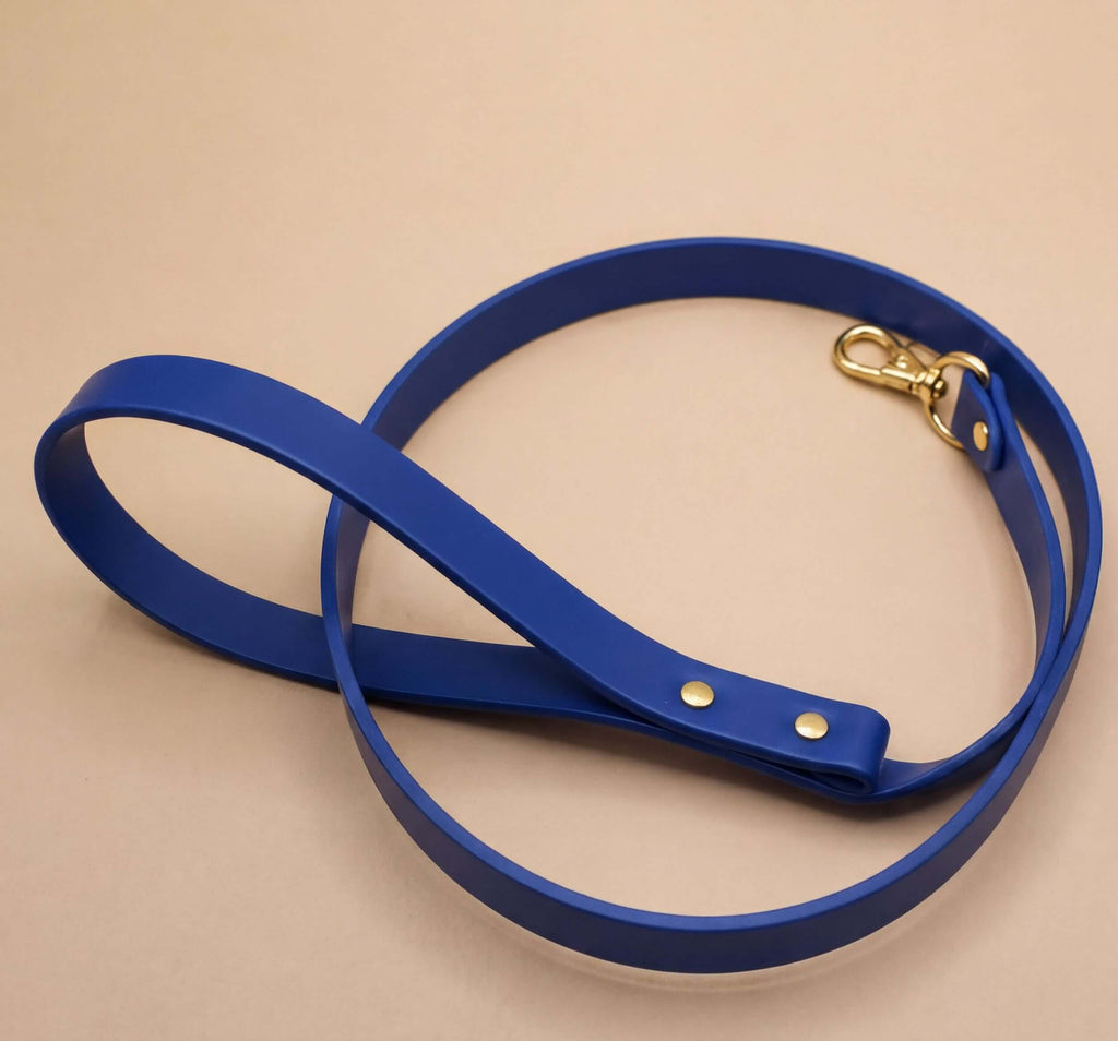 A blue leash with a gold buckle is shown on a beige surface.