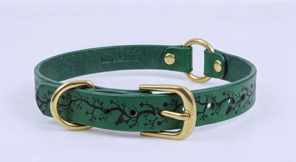 A green leather dog collar with a gold buckle and a tree branch pattern.