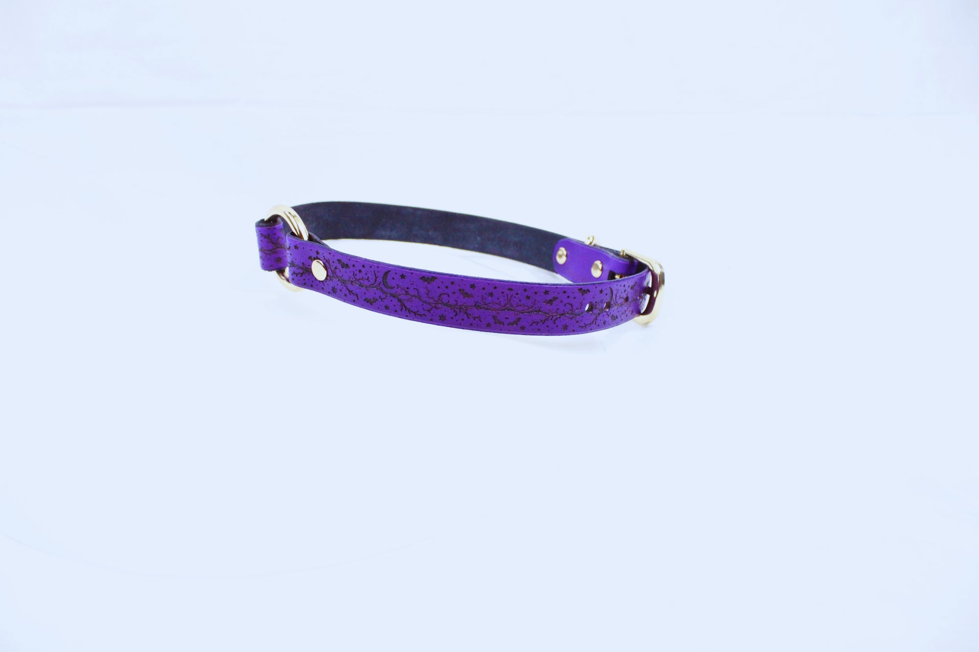 A purple leather collar with a black strap and a gold buckle is shown against a white background.