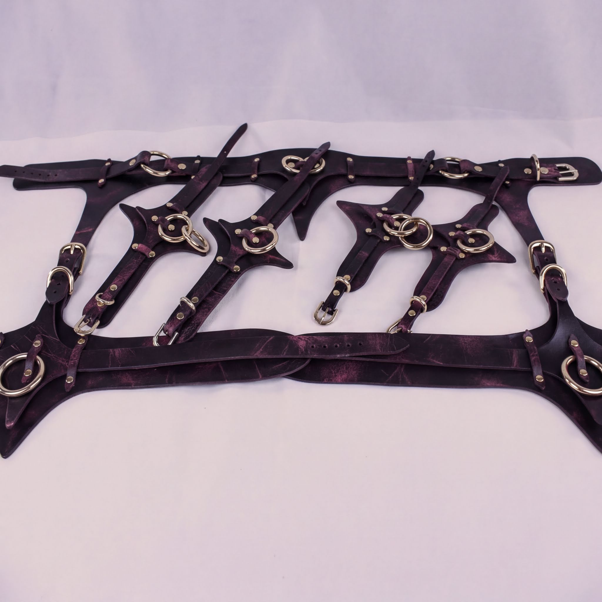 A collection of leather straps with metal rings and buckles, arranged in a decorative manner.