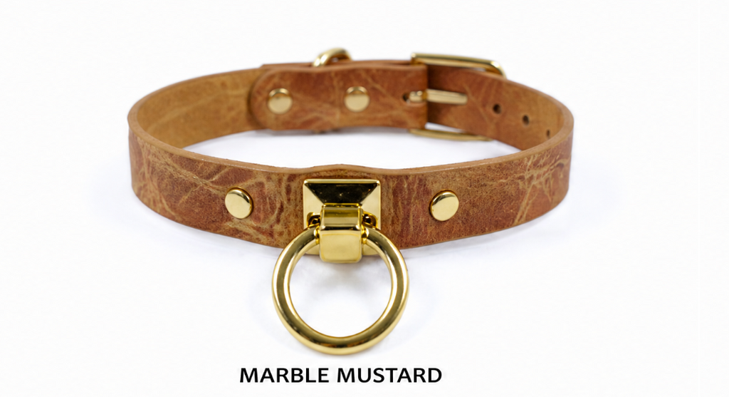 A brown leather choker collar with a gold metal ring and buckle.