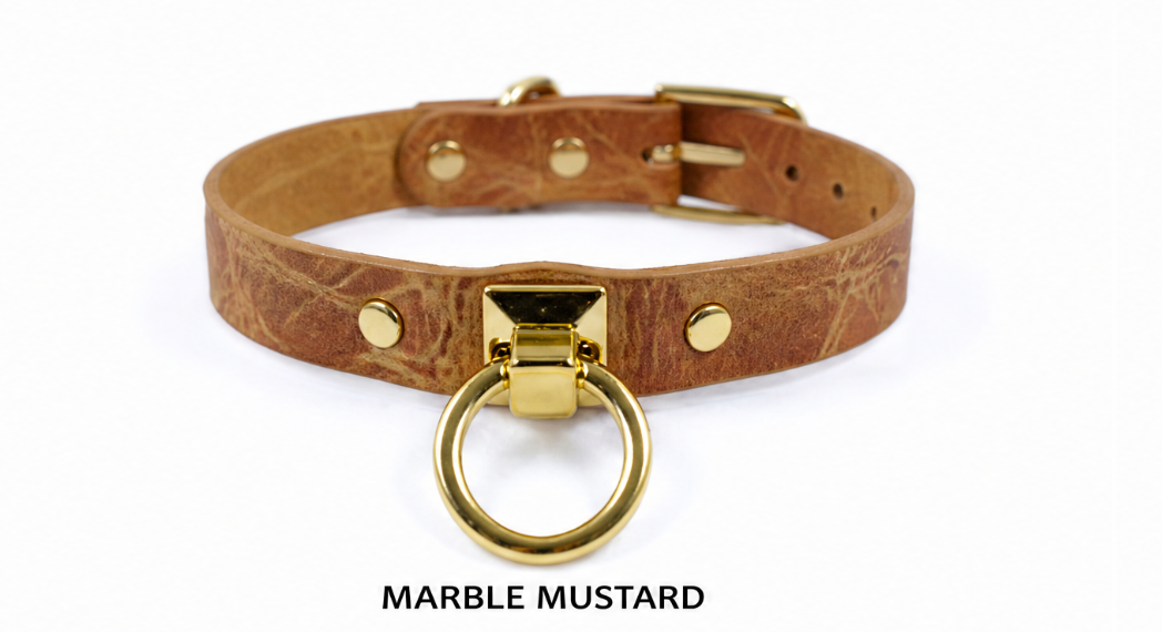 A brown leather choker collar with a gold metal ring and buckle.