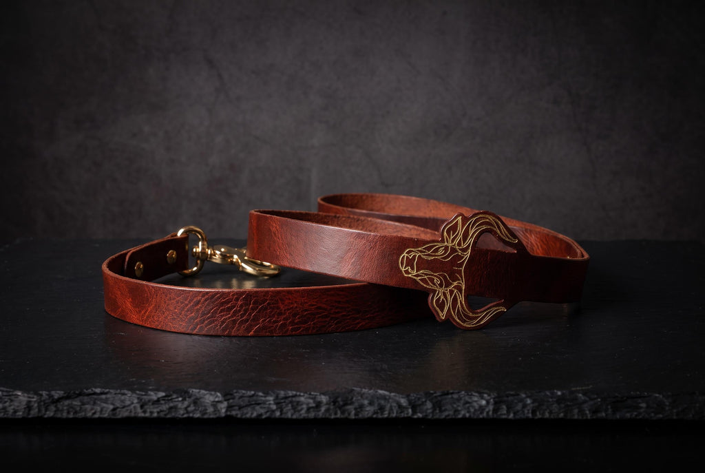 A brown leather belt with a gold buckle is displayed against a dark background.