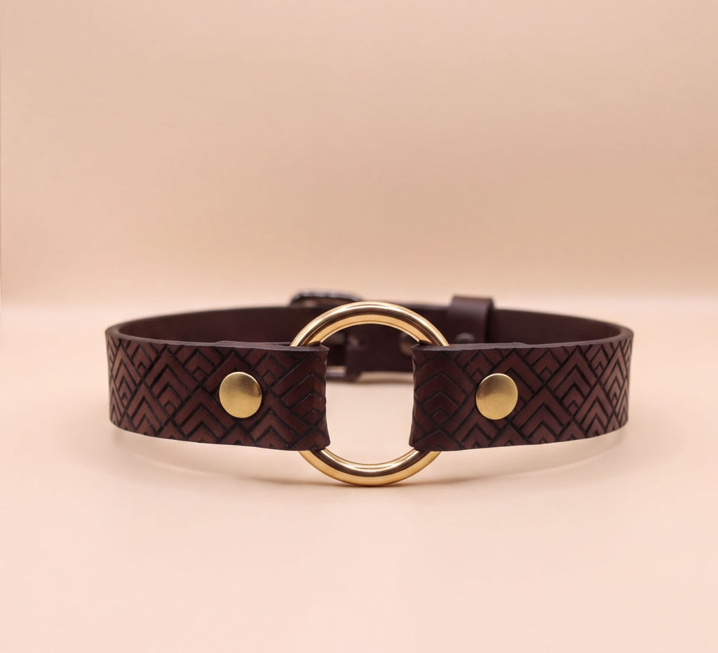 A brown leather choker necklace with a gold-colored circular buckle.