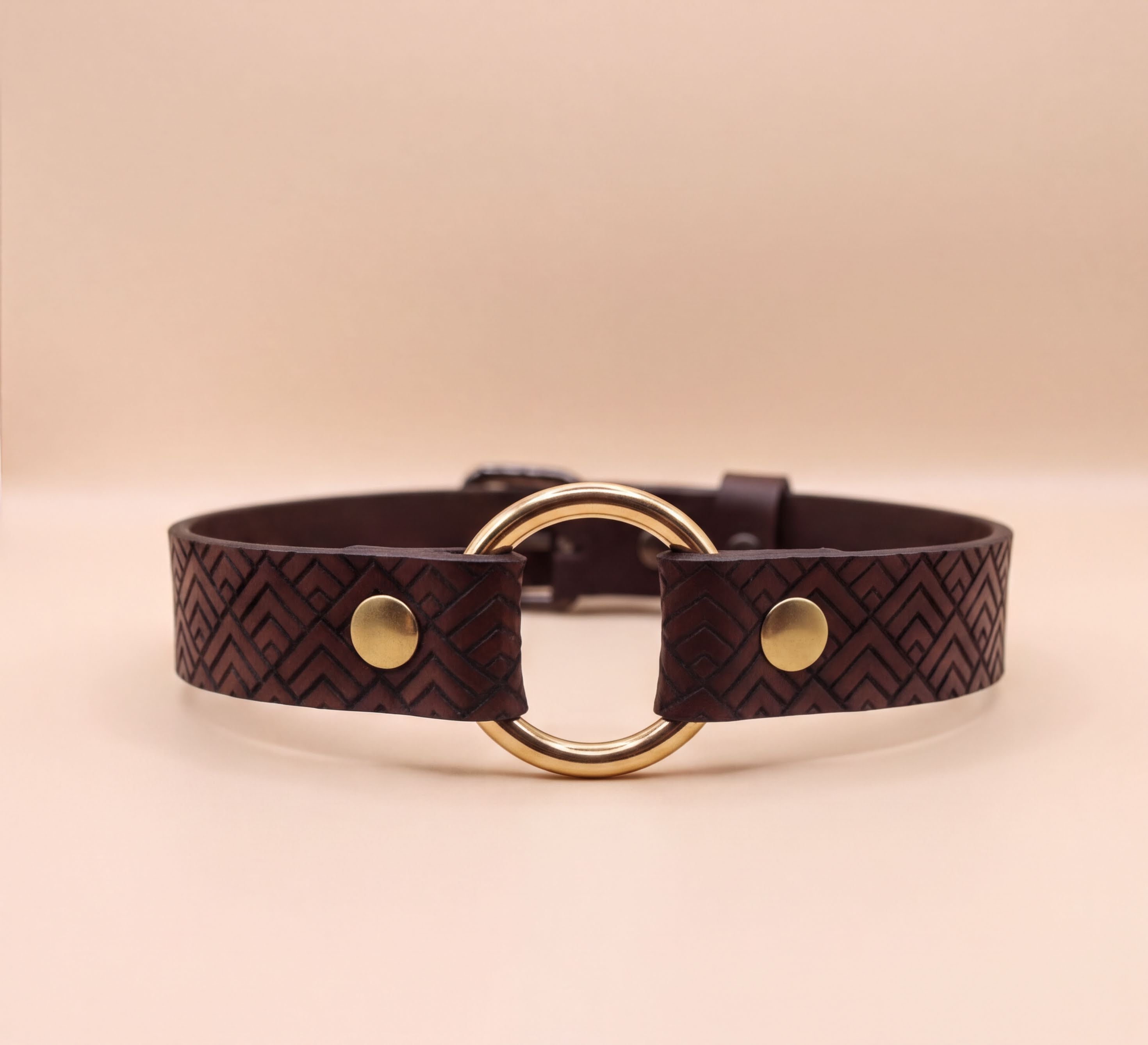 A brown leather choker necklace with a gold-colored circular buckle.