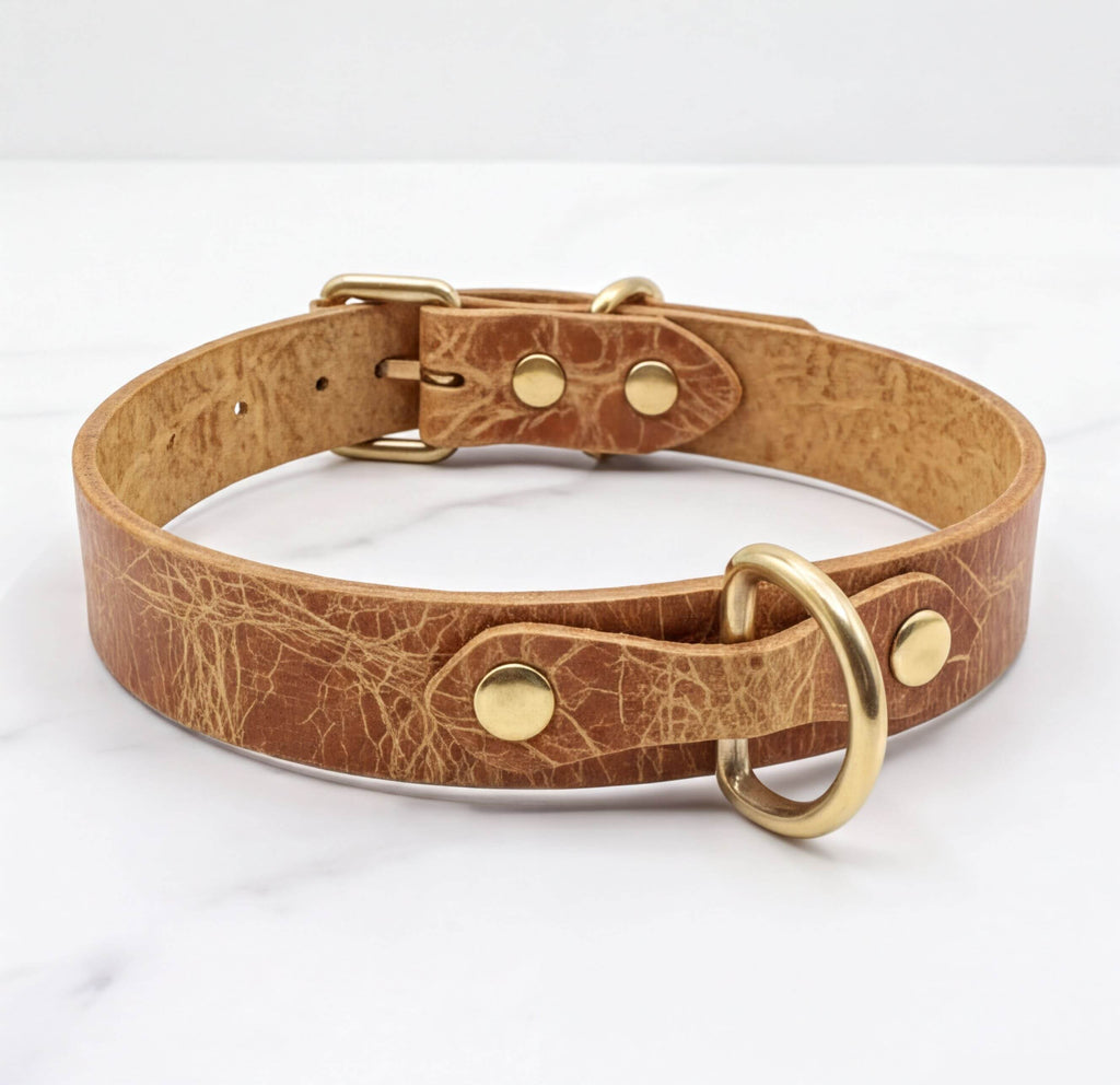 A tan leather dog collar with a brass buckle and two brass studs, resting on a white marble surface.