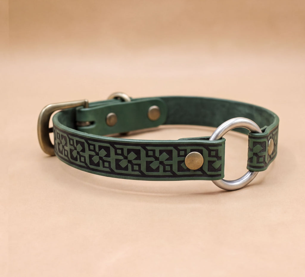 A green leather dog collar with a metal ring and buckle, featuring a decorative pattern on the strap.