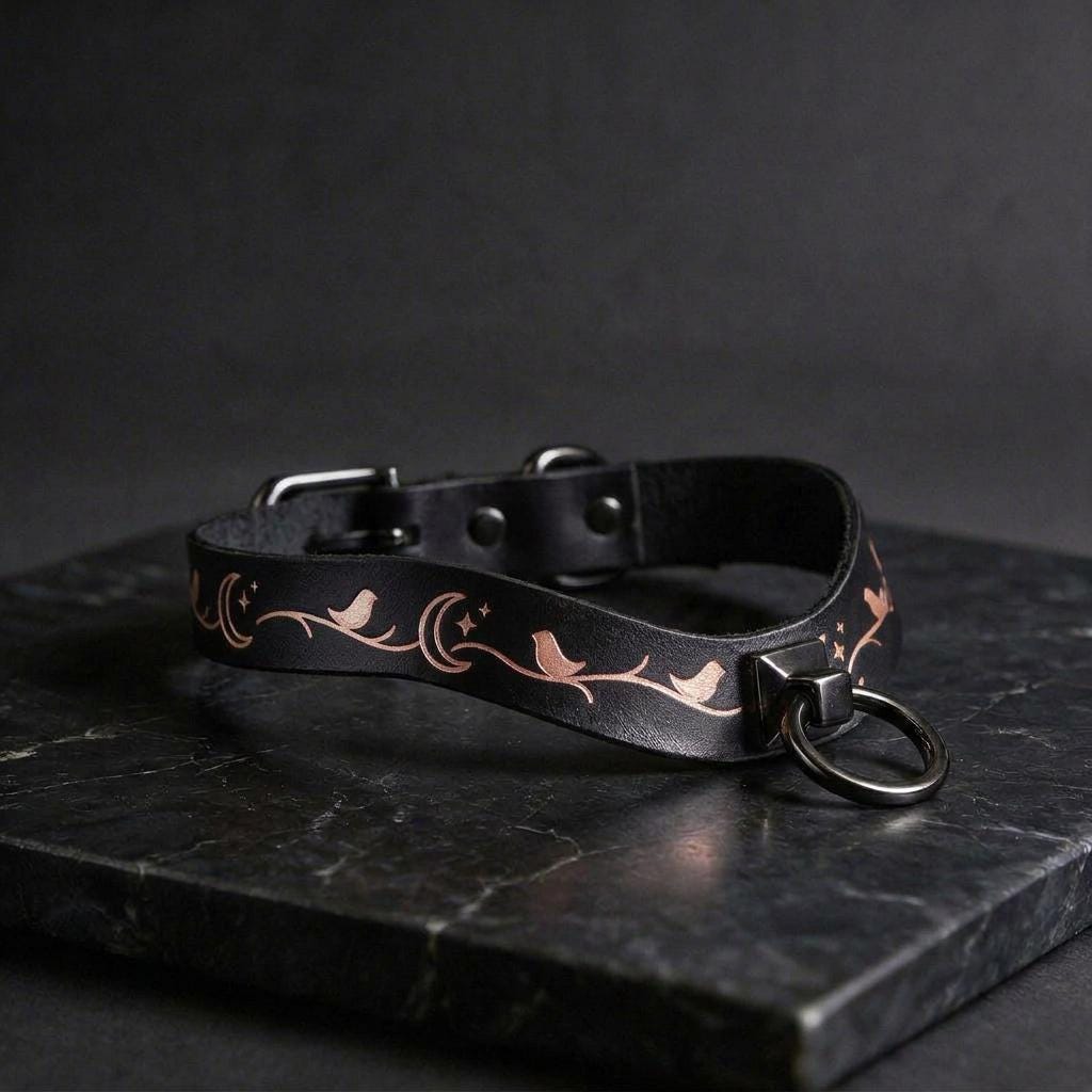 A black leather collar with a decorative pattern of birds and stars on a dark background.