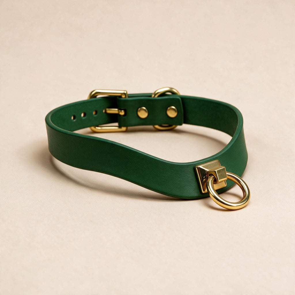 A green leather choker necklace with a gold-colored metal ring and buckle.