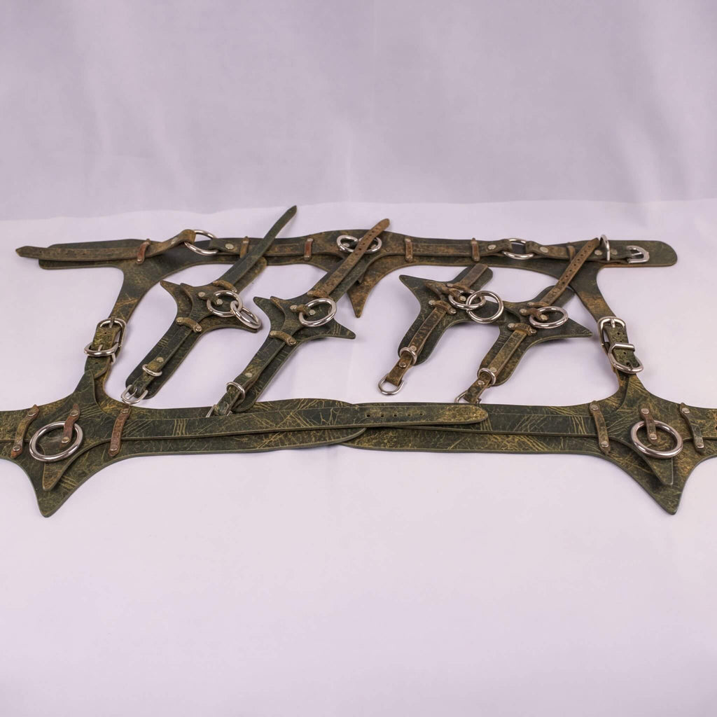 A collection of leather straps and buckles arranged on a white background.