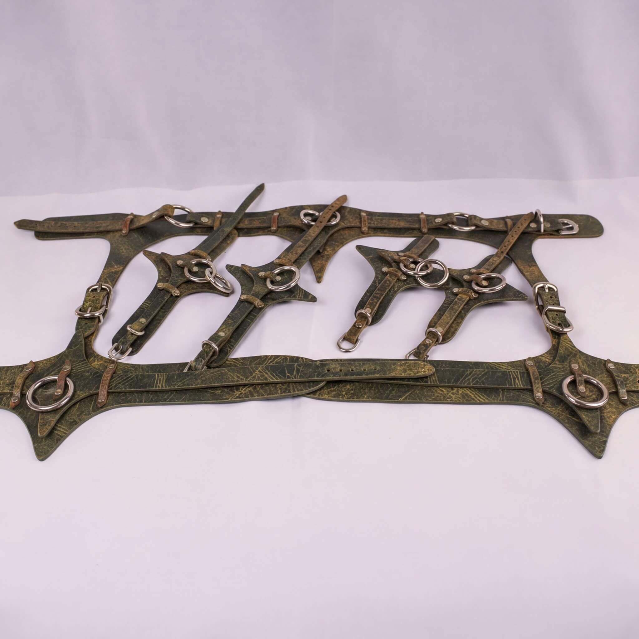 A collection of leather straps and buckles arranged on a white background.