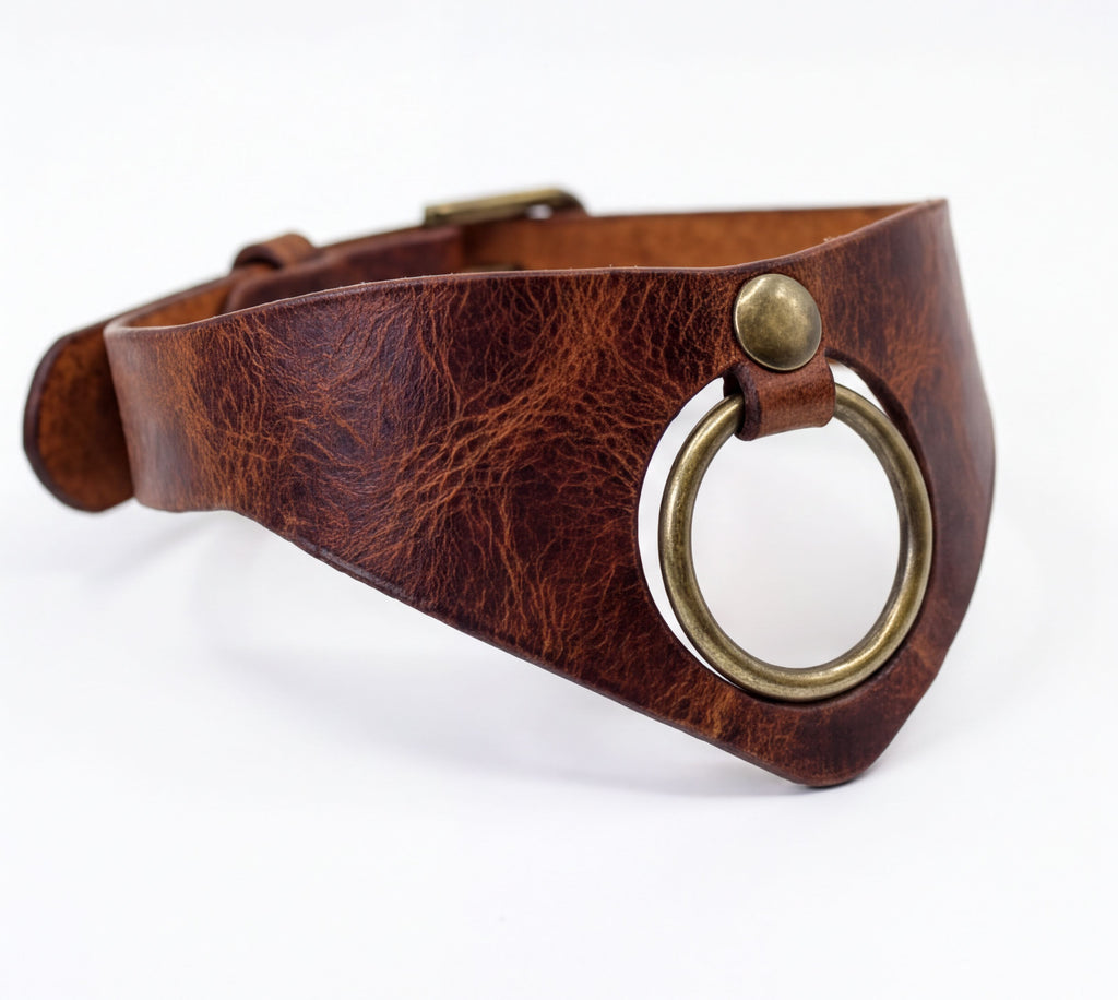 A brown leather choker necklace with a brass ring and buckle detail.