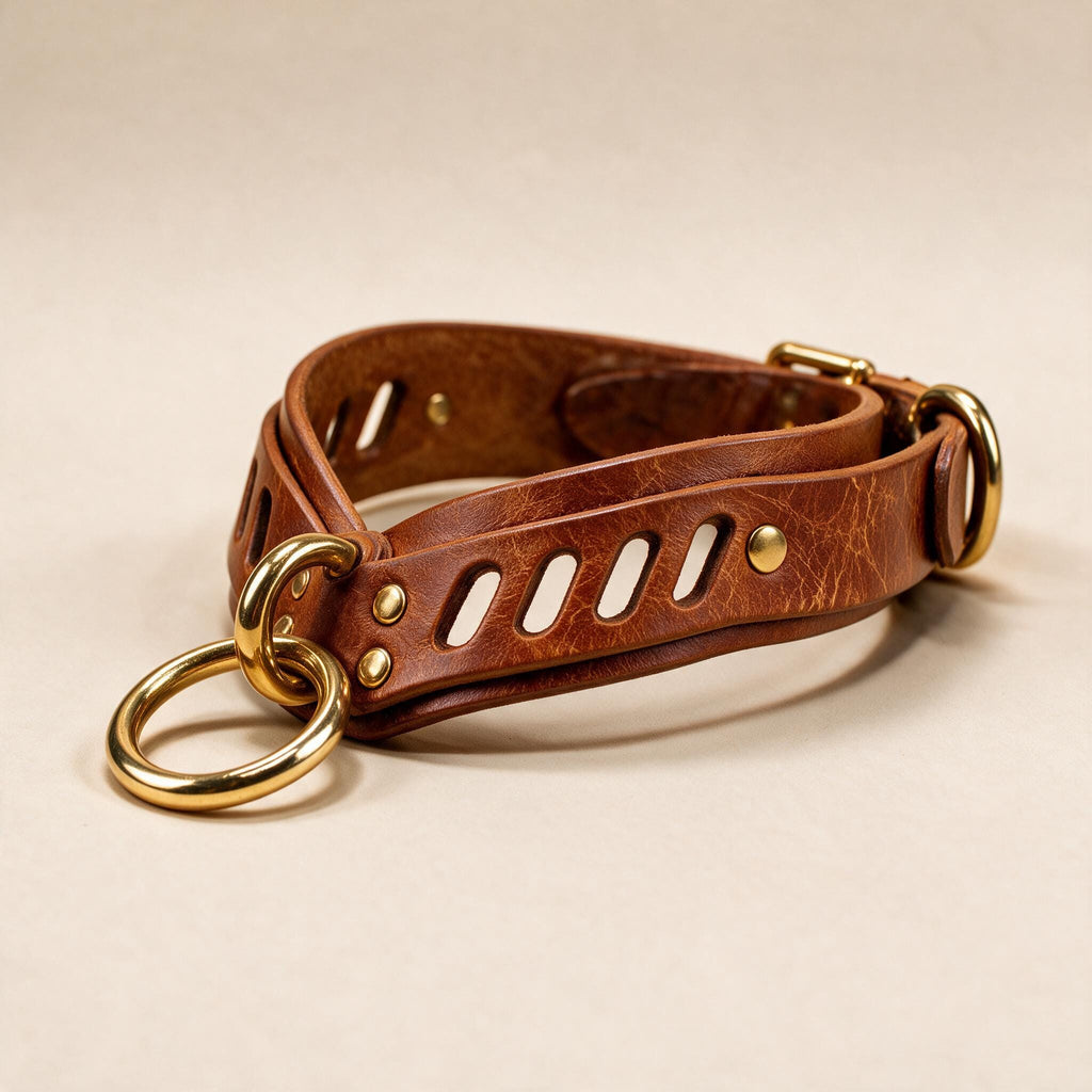 A brown leather collar with a gold-colored buckle and a gold-colored ring attached to it.