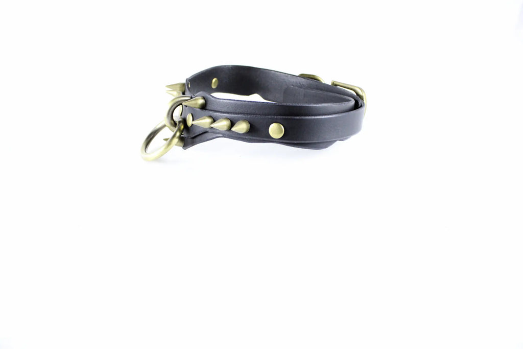 A black leather collar with gold studs and a metal ring attached to it.