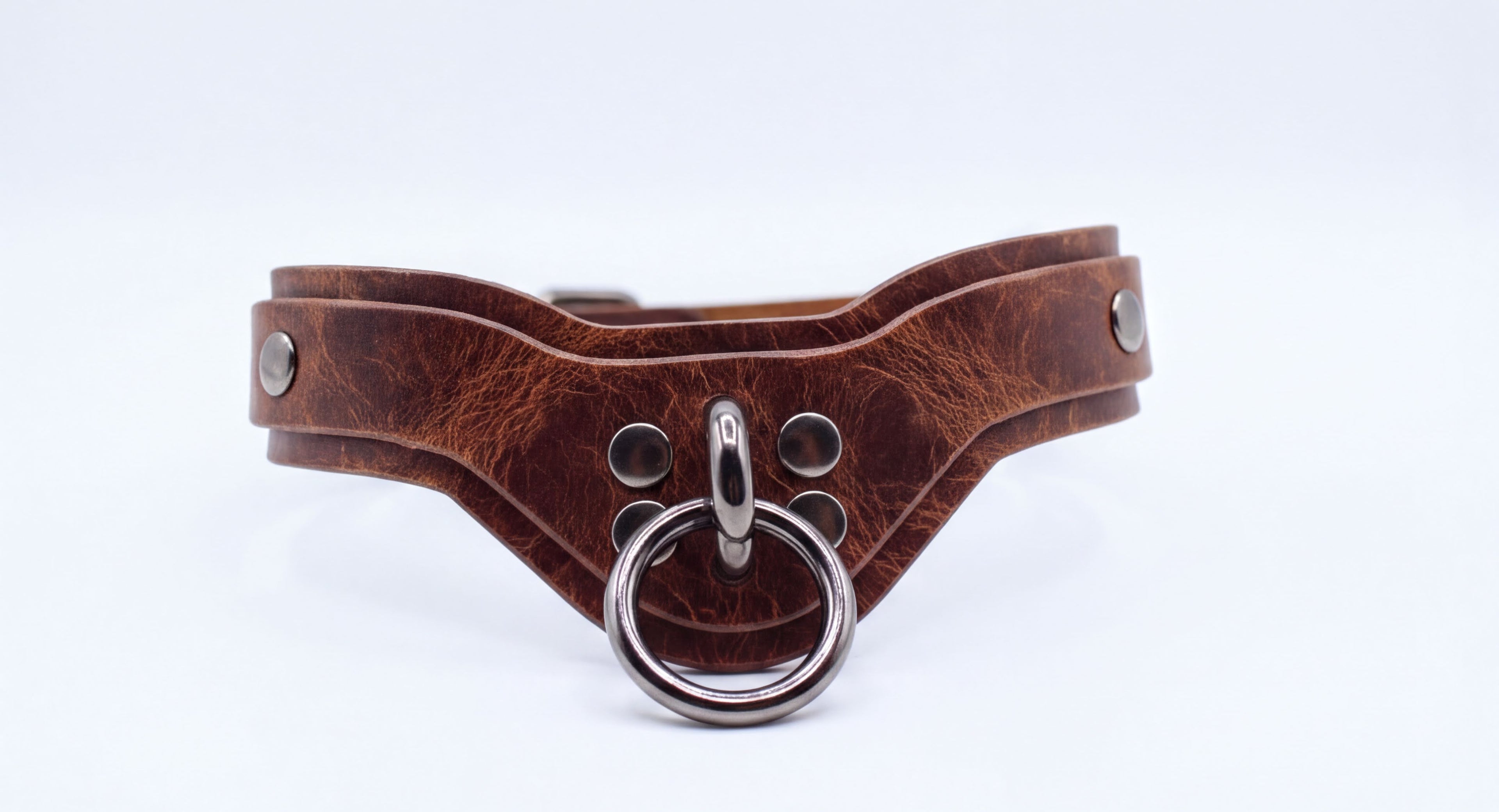 A brown leather collar with metal studs and a circular metal ring.