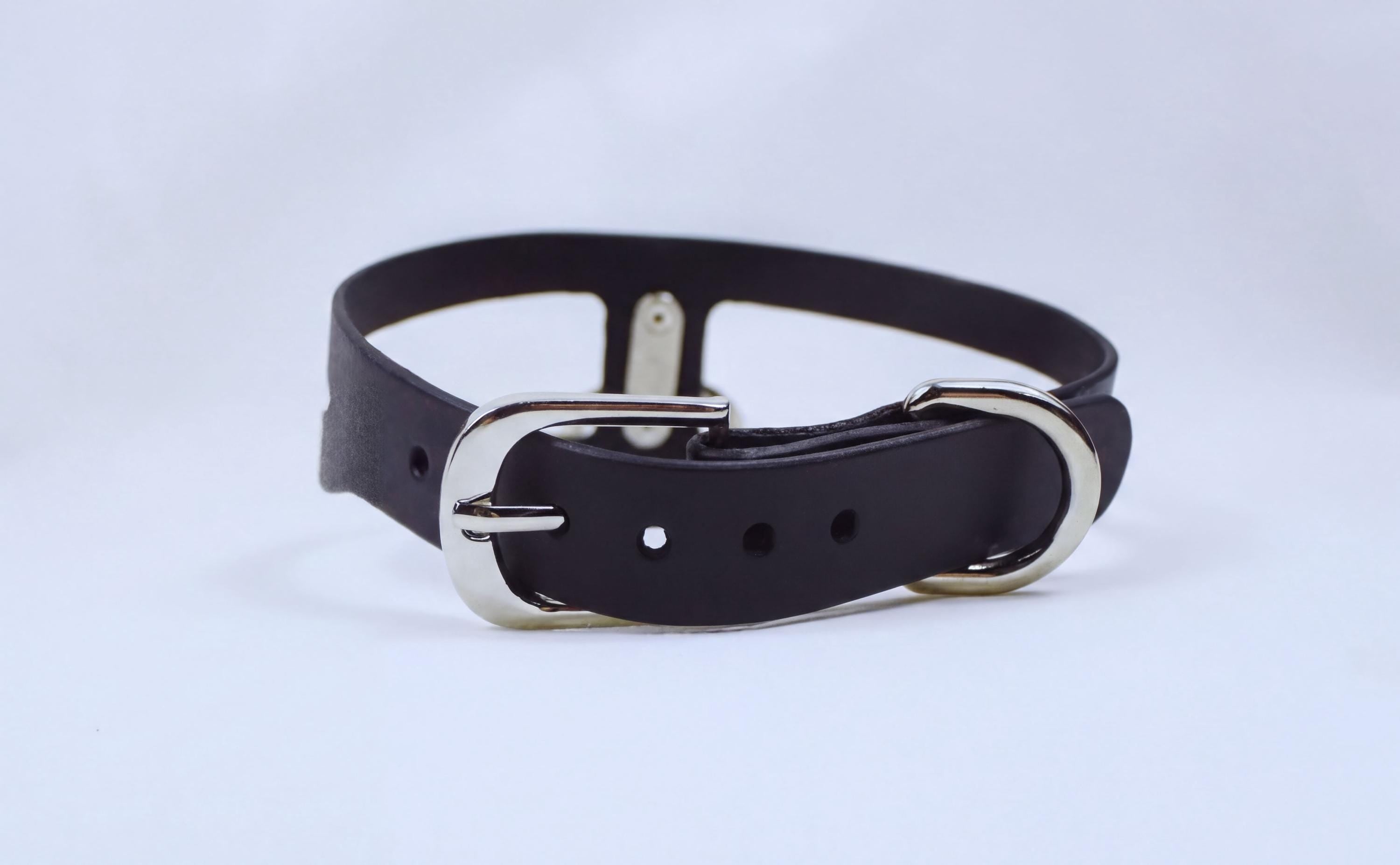 A black leather choker necklace with a silver buckle.